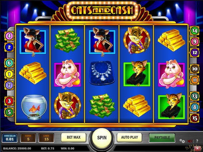 cats & cash screenshot