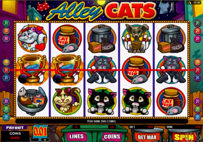 alley cats screenshot